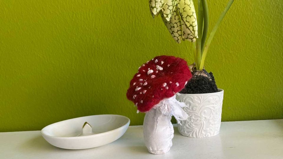 Kleiner gemeiner Giftpilz Kleiner gemeiner Giftpilz