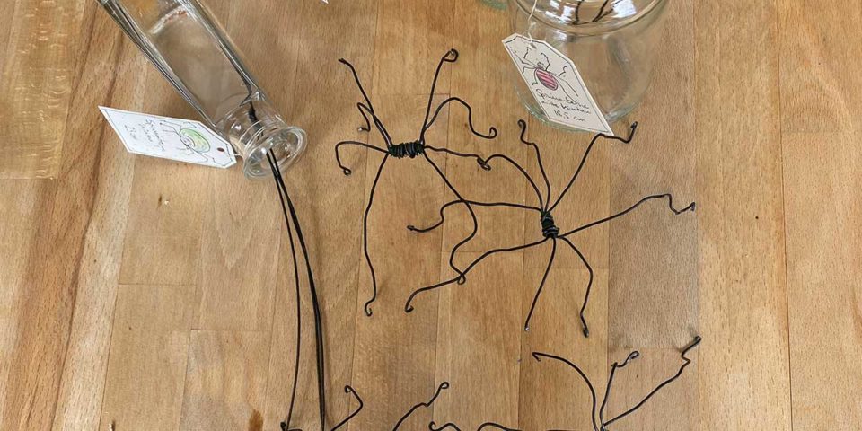 Once i loved a spider – Bodyconstruction Once i loved a spider - Bodyconstruction