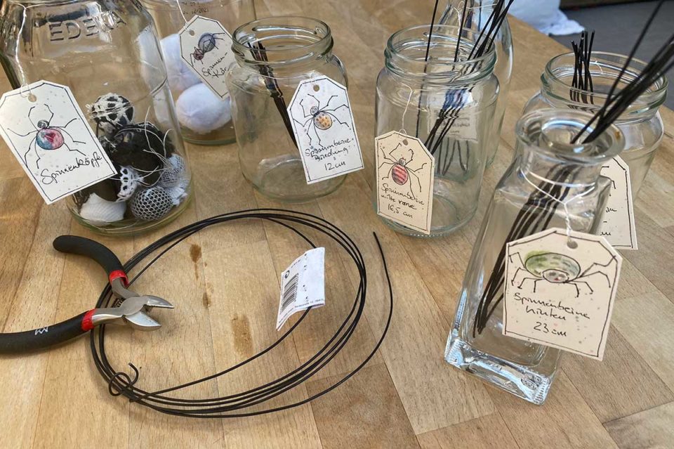 Once I loved a spider – Spinnenfüße Once I loved a spider - Spinnenfüße