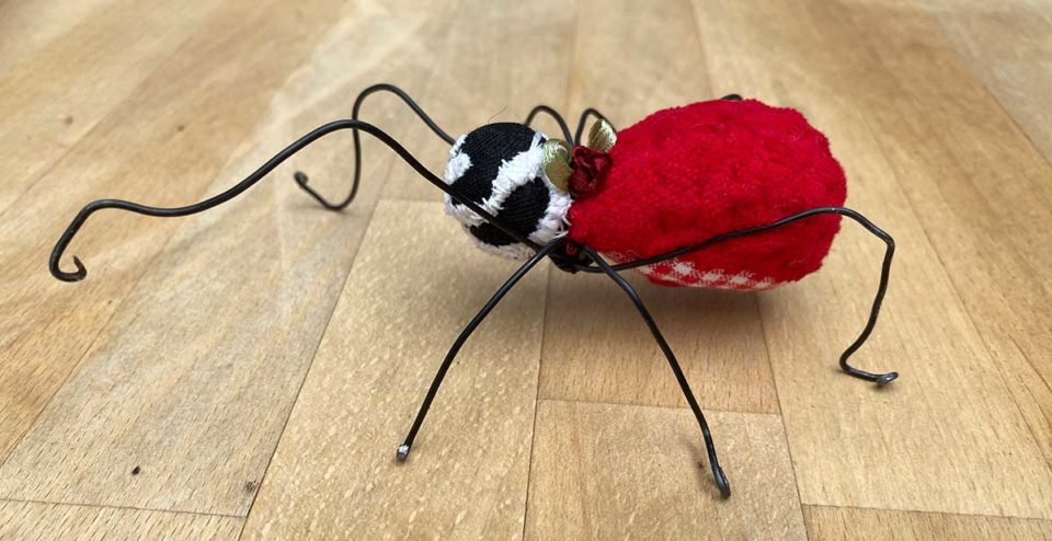 Once I loved a spider – the first one Once I loved a spider - the first one